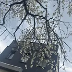 Elbflorenz Familien Suites