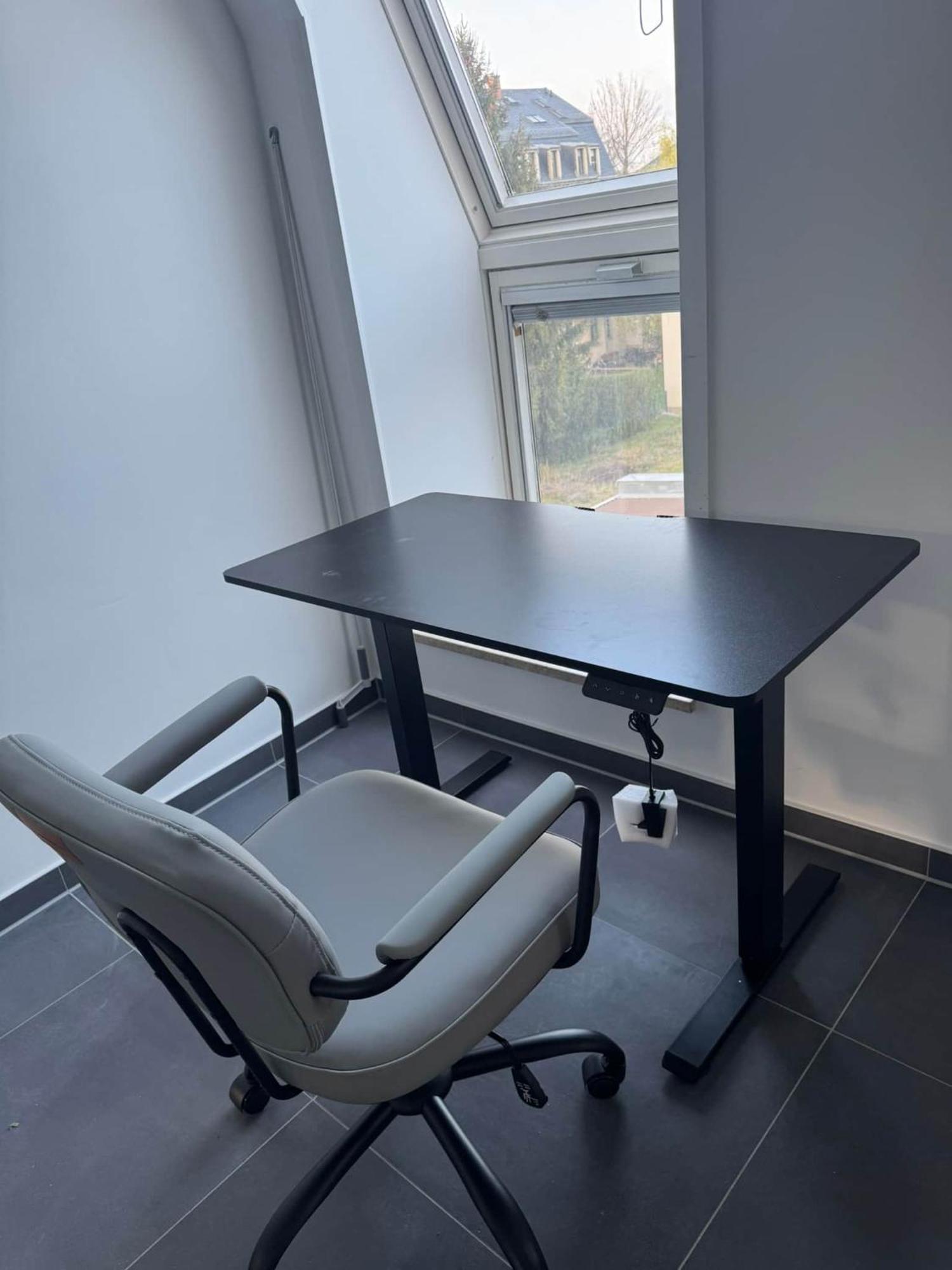 Elbflorenz Familien Apartment Dresden